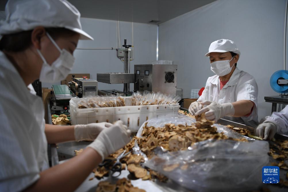 波克v几可以送弹头