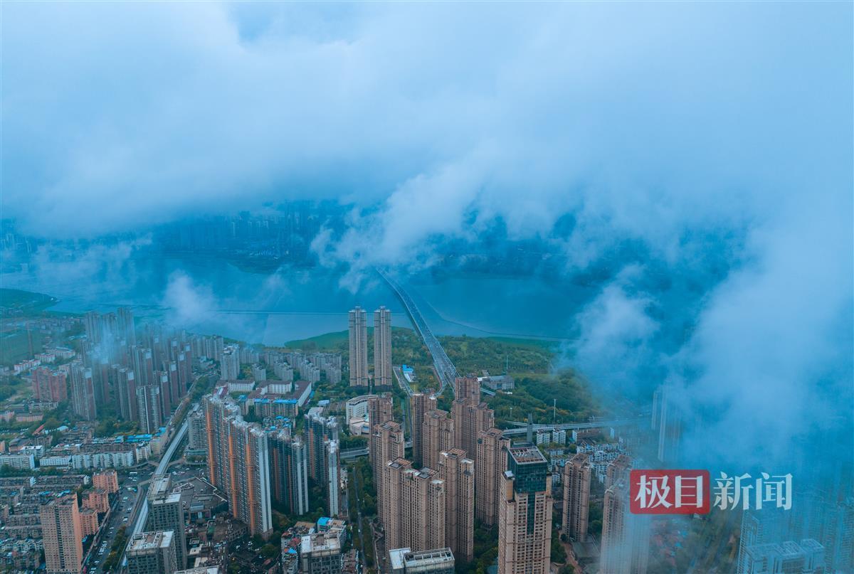 星光娱乐在哪下载